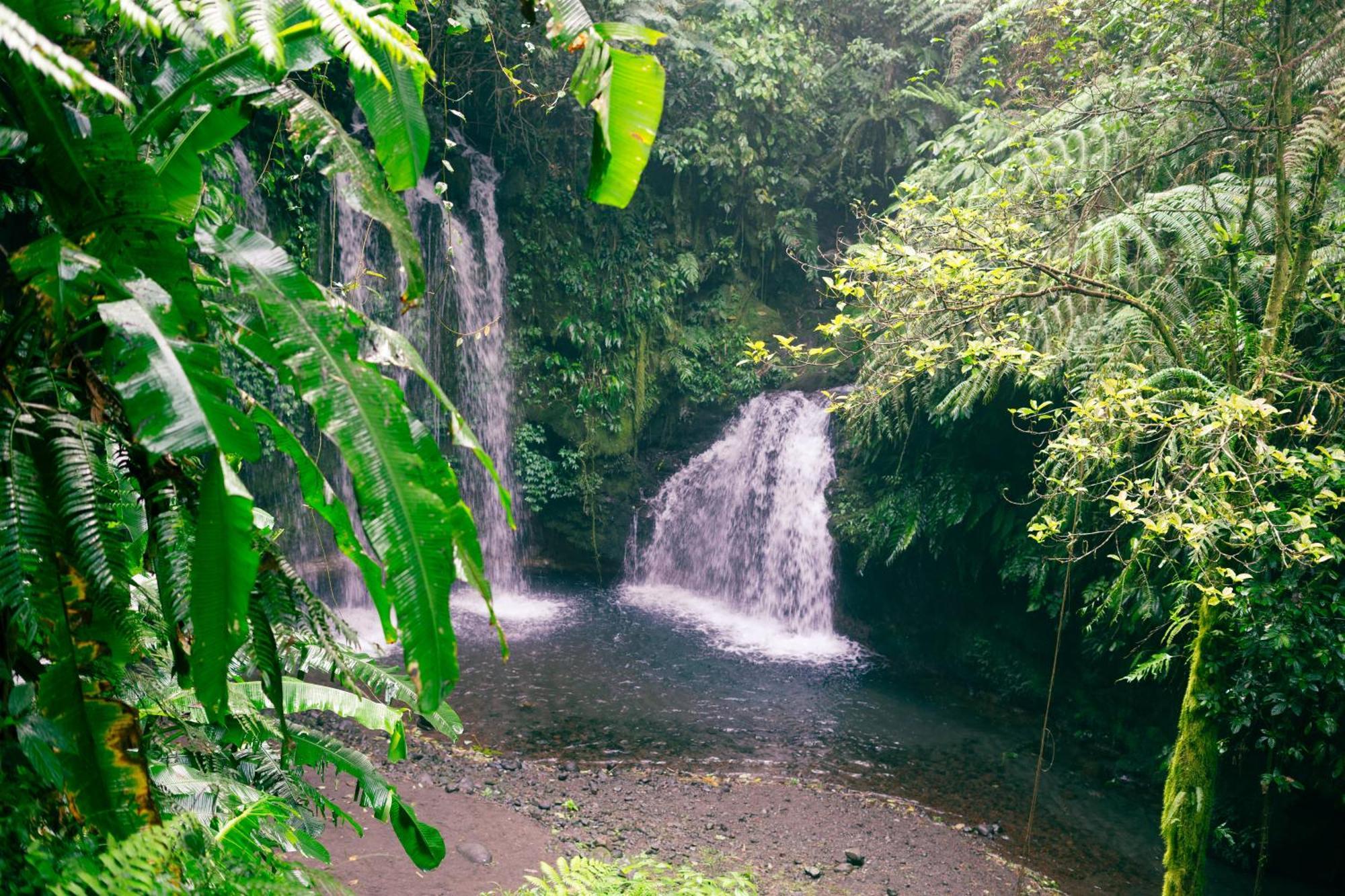Santya Loka Lodge & Twin Waterfall Jatiluwih Eksteriør bilde
