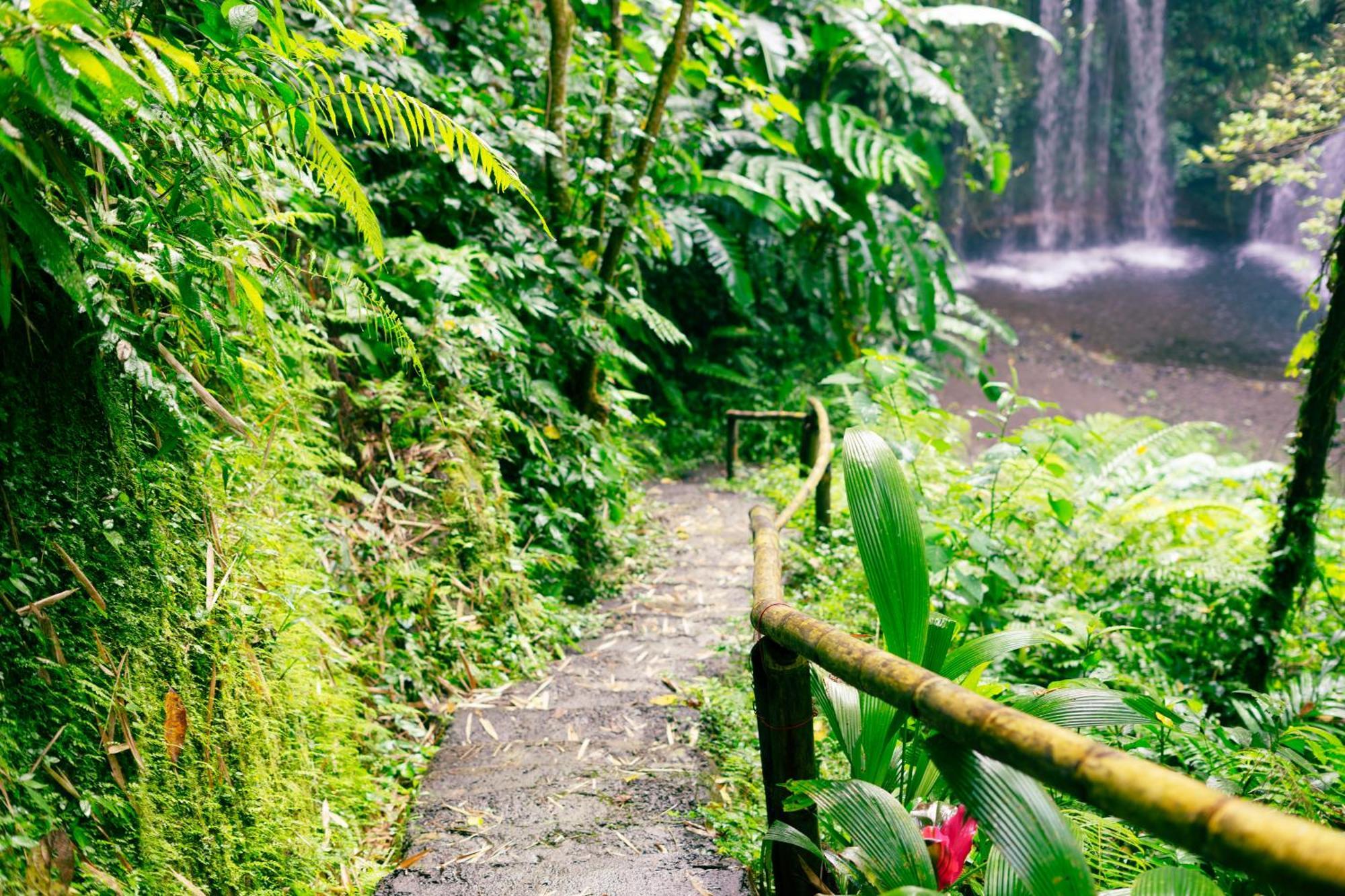 Santya Loka Lodge & Twin Waterfall Jatiluwih Eksteriør bilde