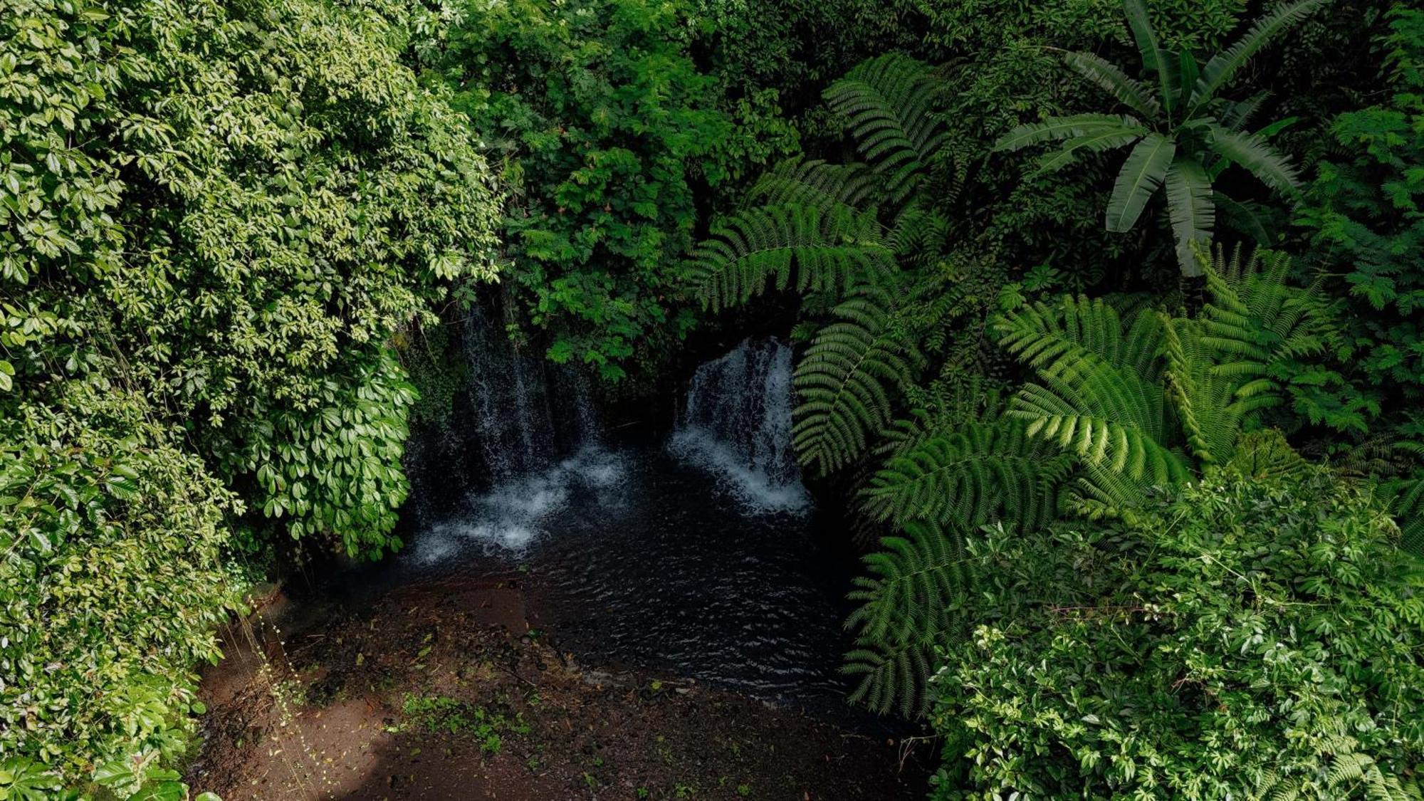Santya Loka Lodge & Twin Waterfall Jatiluwih Eksteriør bilde