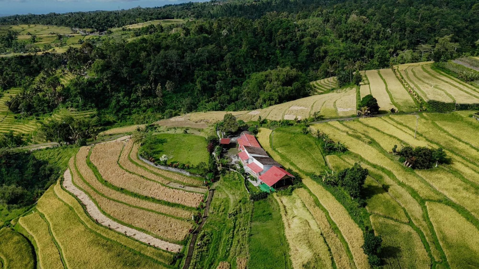 Santya Loka Lodge & Twin Waterfall Jatiluwih Eksteriør bilde