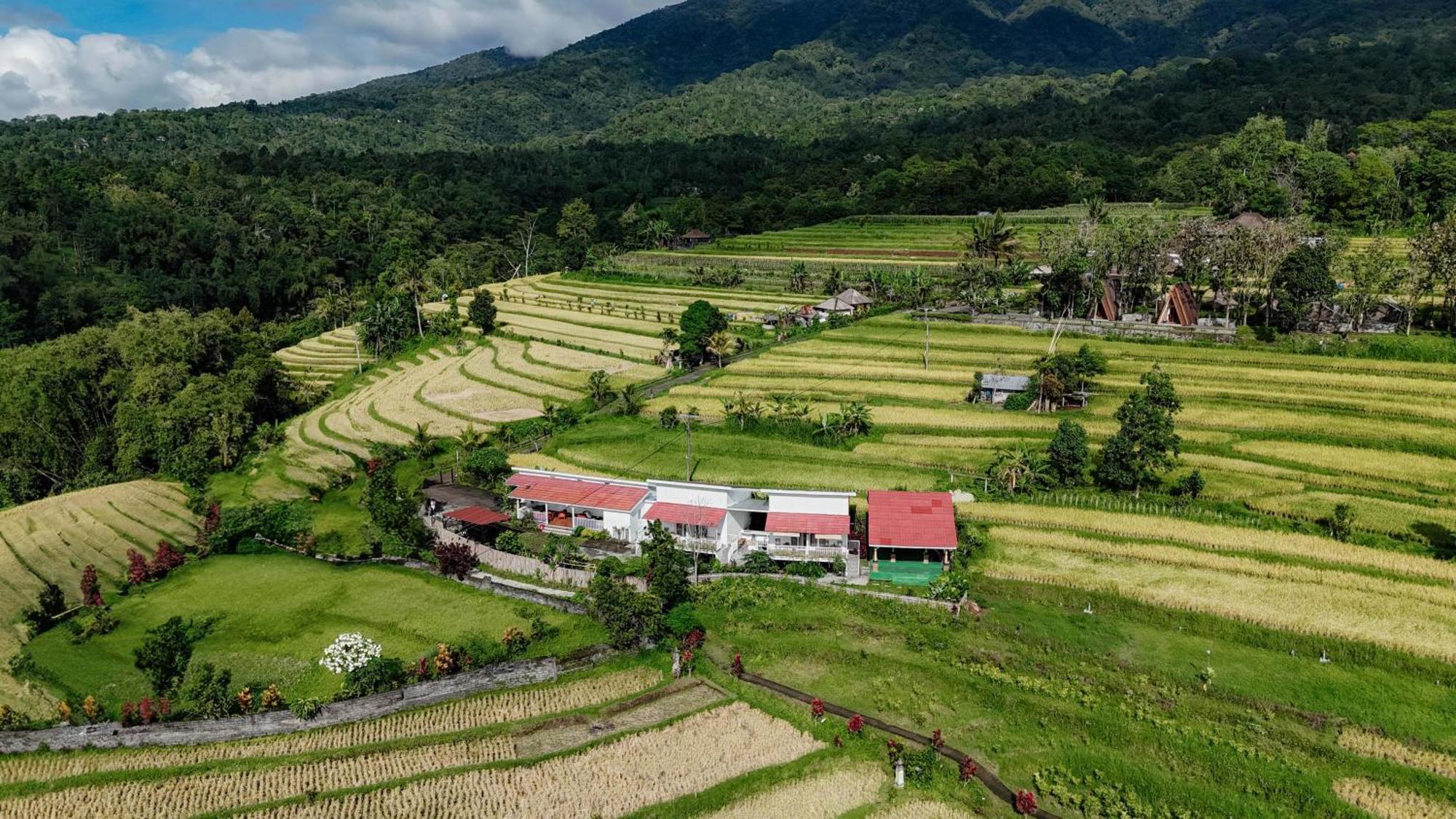 Santya Loka Lodge & Twin Waterfall Jatiluwih Eksteriør bilde